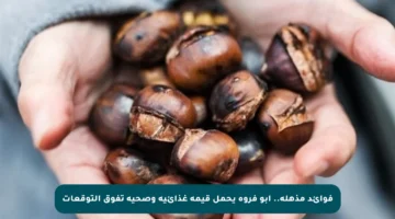 فوائد مذهلة.. أبو فروة يحمل قيمة غذائية وصحية تفوق التوقعات